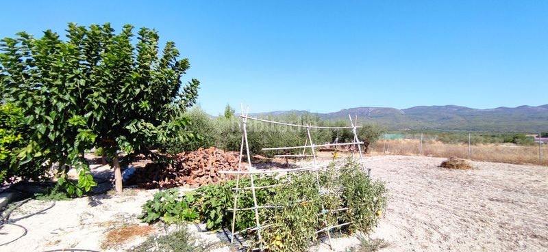 Foto 601a5298-4bcf-4939-a838-d28dea5a6fd5. Xalet amb aparcament piscina a Moratalla