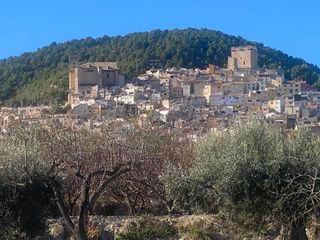 Terreny residencial a Moratalla. Tu refugio ideal a las afueras de moratalla
