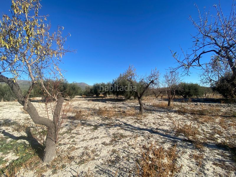 Foto 57d7aa11-167c-44ea-87dd-6cb2a68877e6. Terreny residencial a Moratalla