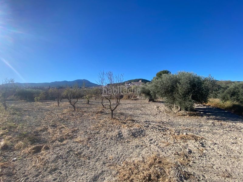 Foto a7b99740-11a8-4ee6-809d-1046d956ee18. Terreny residencial a Moratalla
