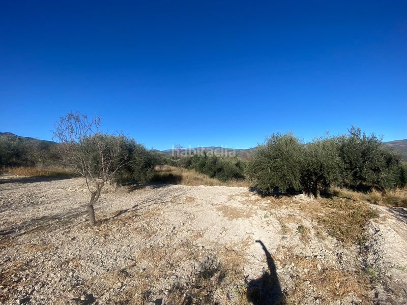 Foto f9ad4ee7-38bc-49ca-9434-a9911b823816. Terreny residencial a Moratalla
