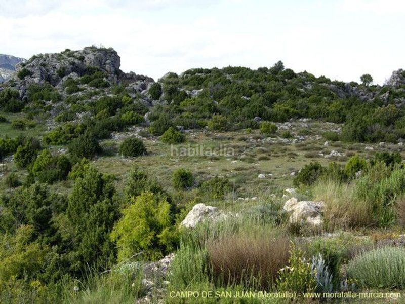Foto a3f2b965-912c-4d92-b264-440dfdff158a. Casa a Moratalla