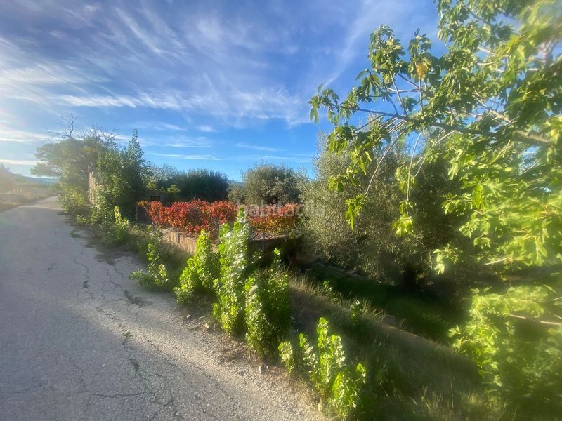 Foto 5b6394e0-e718-4799-ba99-bc3fa1fb2a52. Finca rústica a Moratalla