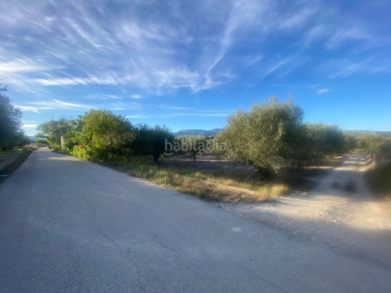 Foto df5aad3d-e240-4c3b-a6d2-1b3e3c943424. Finca rústica a Moratalla