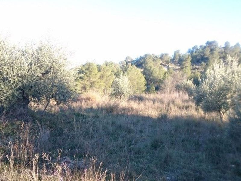 Foto 1997010d-c5bd-4743-9763-1435d779edd2. Terreny residencial a Moratalla
