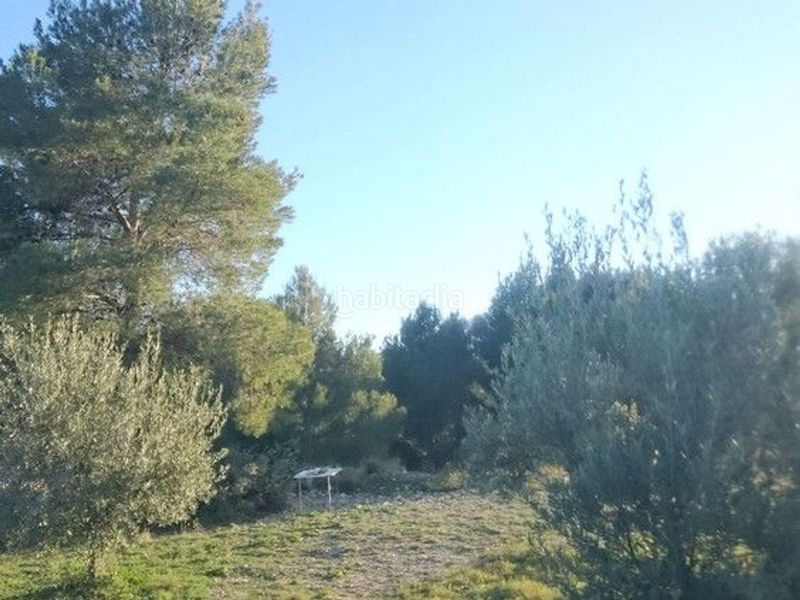 Foto 1d3d069a-49a9-4bd0-a16a-10db7f355970. Terreny residencial a Moratalla