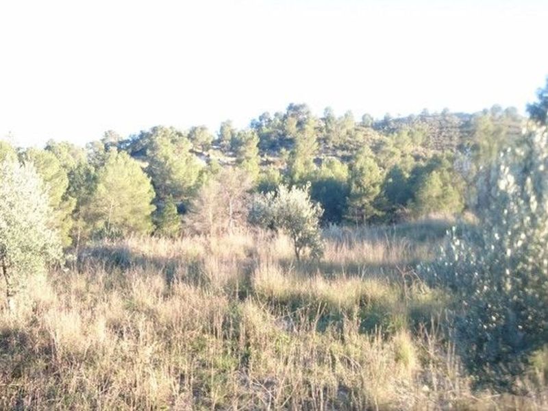 Foto 4b83eb79-71ce-43b8-a6de-083877c862d0. Terreny residencial a Moratalla
