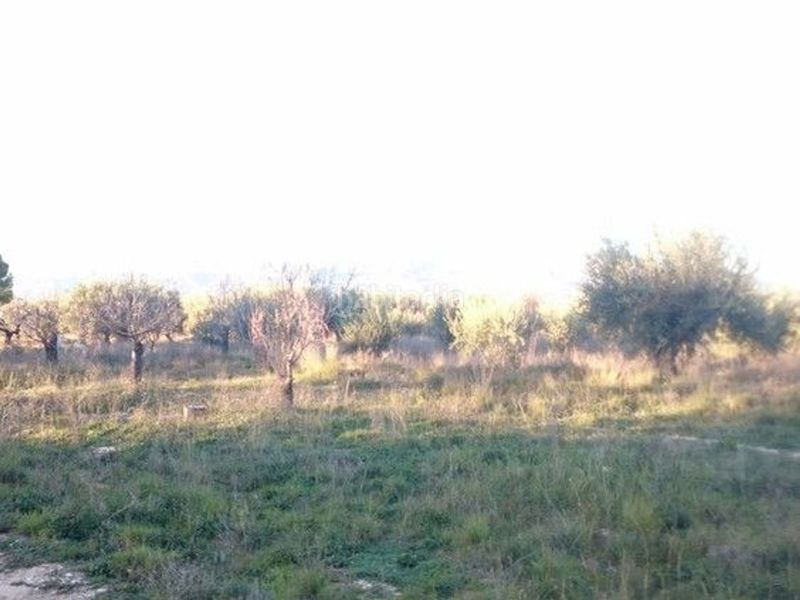 Foto 56323187-029e-4420-8f30-b0803dcfdd2b. Terreny residencial a Moratalla