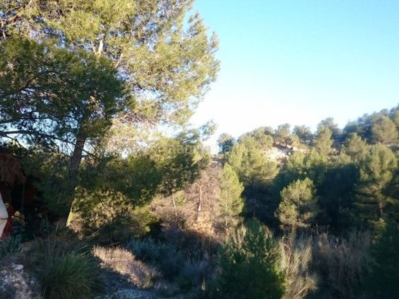 Foto 5fc2c01f-4333-4189-bdc0-c2f31f29a1fd. Terreny residencial a Moratalla