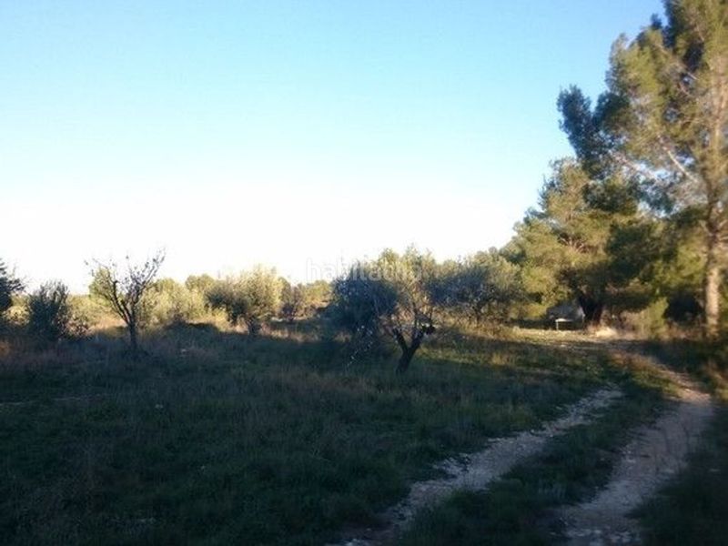 Foto d0aac7b0-6d47-4adb-9cd1-9626829b511f. Terreny residencial a Moratalla