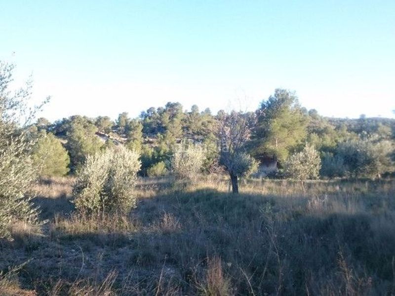Foto e5df75d9-ead9-4bac-9e0d-b7af1bc115f4. Terreny residencial a Moratalla