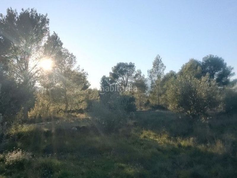 Foto f84cc651-5efb-452e-8f83-0500f999c3c1. Terreny residencial a Moratalla