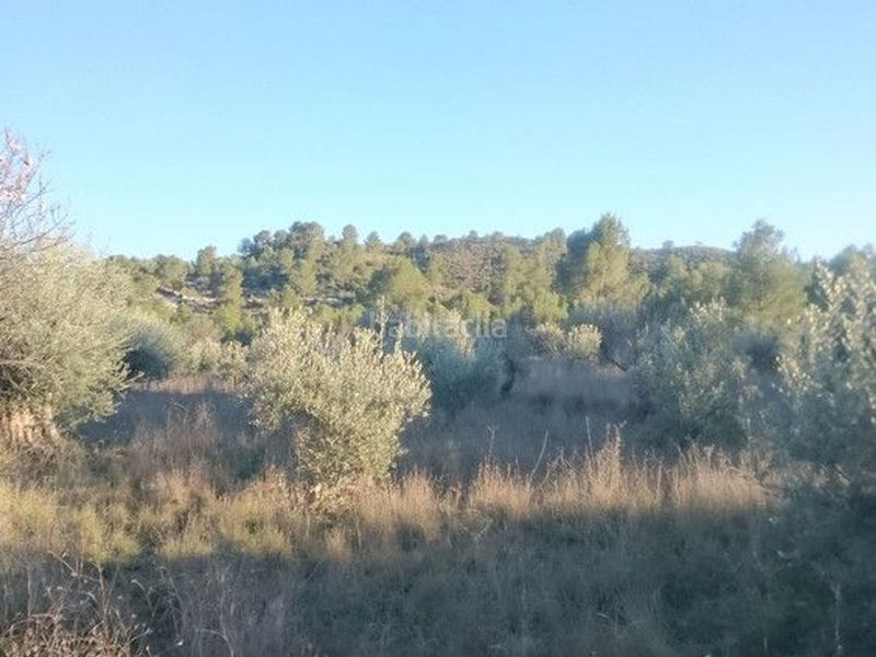 Foto fef6a2d2-8151-4363-bf61-a55503939b99. Terreny residencial a Moratalla