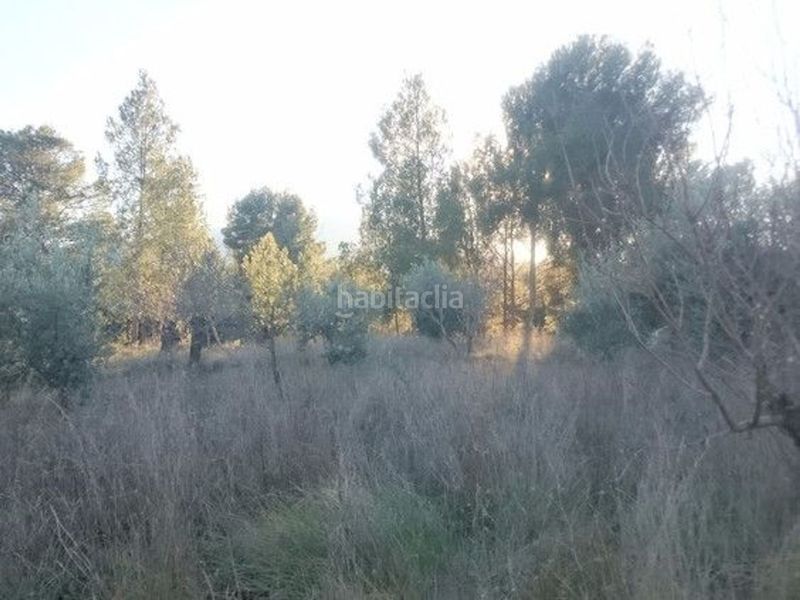 Foto ff02d1dc-50a5-436c-8af5-1a3d6c84303d. Terreny residencial a Moratalla
