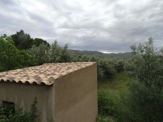 Xalet a Moratalla. Parcela única con agua, luz y construcción legal hasta 300 m2 el