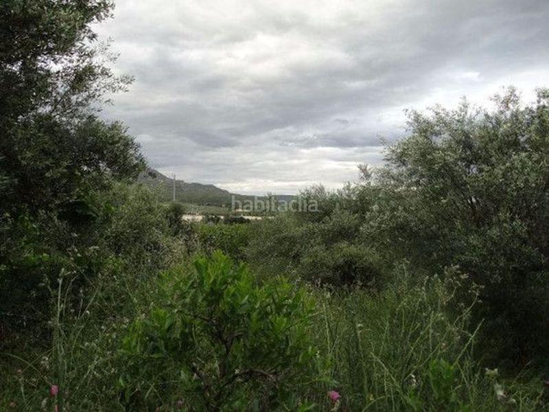 Foto 257c1c43-02a8-484b-86f5-f03b42414208. Xalet a Moratalla