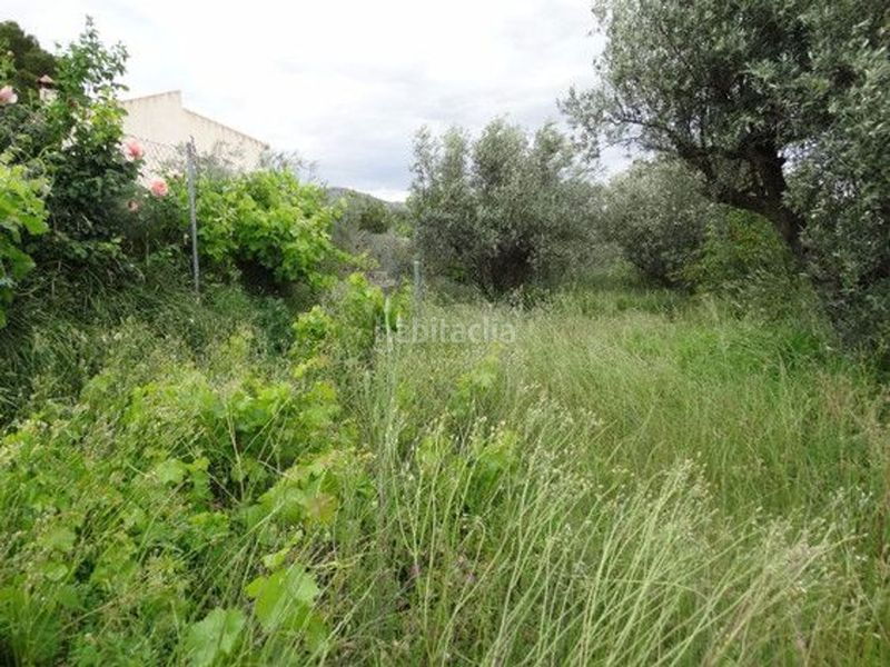 Foto 50d16d13-f06e-4eee-869f-7a3398a7cb24. Xalet a Moratalla