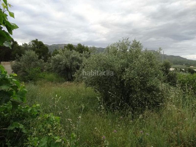 Foto d747c963-a466-49a8-90ac-eecaf155c6f4. Xalet a Moratalla