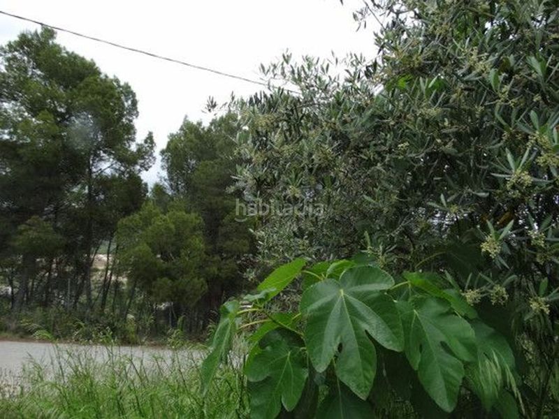 Foto eb433605-c757-451c-a785-4ca7c24d9d2c. Xalet a Moratalla