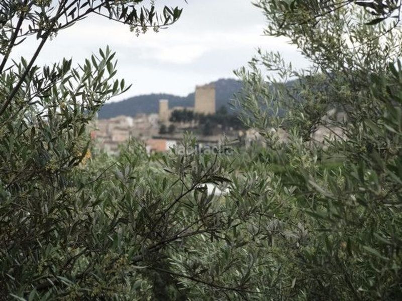 Foto fbce69e4-a15d-4188-ab57-d26d50a8c22e. Xalet a Moratalla