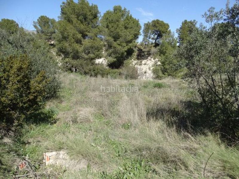 Foto 0a4f380f-4ea5-4d96-9eb4-404ffbd04933. Finca rústica a Moratalla