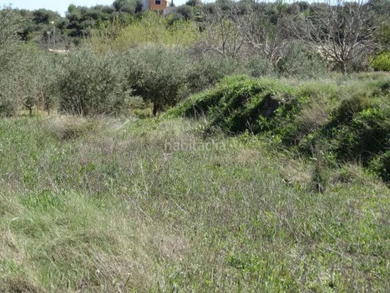 Foto 4a7c490c-68cc-46bb-a235-1337923f1412. Finca rústica a Moratalla