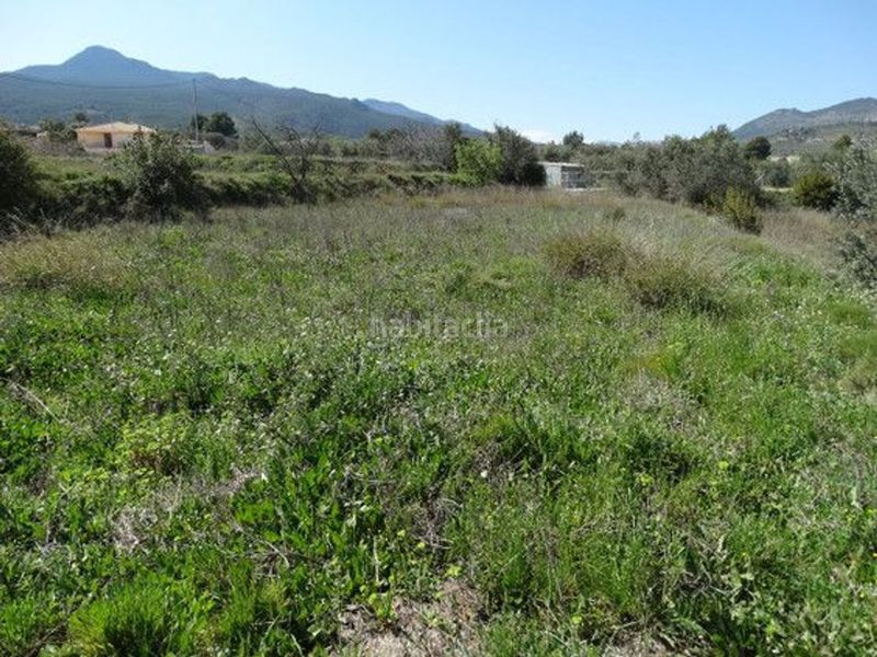 Foto 50b8930c-8fcc-426f-8a50-a6766d675441. Finca rústica a Moratalla