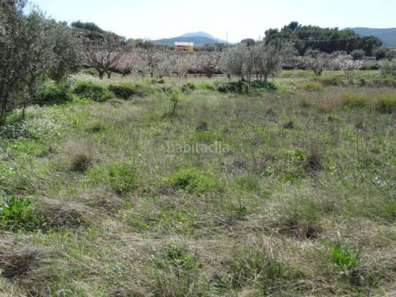Foto 64e45e07-426b-494b-af35-d05c4f23e062. Finca rústica a Moratalla