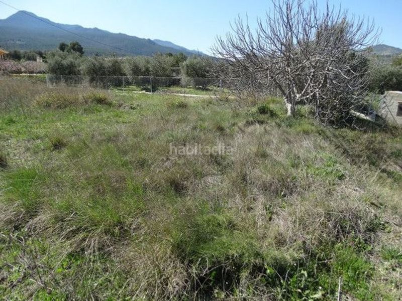 Foto 6d2584b6-1cf6-49c7-b447-7b509b0449a4. Finca rústica a Moratalla