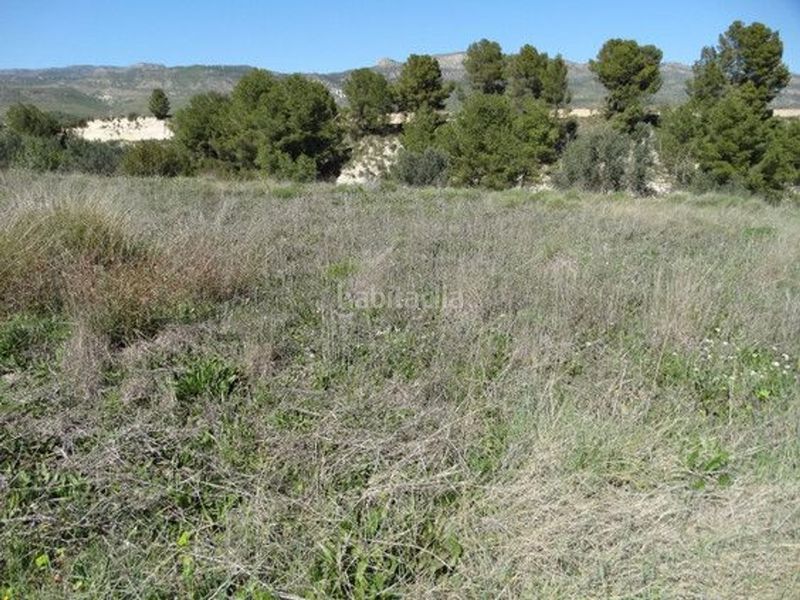 Foto aff5e136-bcc8-4813-b329-ac44f9b55504. Finca rústica a Moratalla