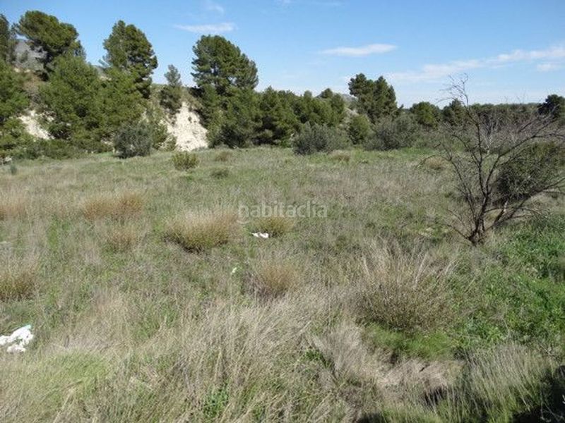 Foto bd81da27-5cbf-40b6-b664-3b6b53a2651d. Finca rústica a Moratalla
