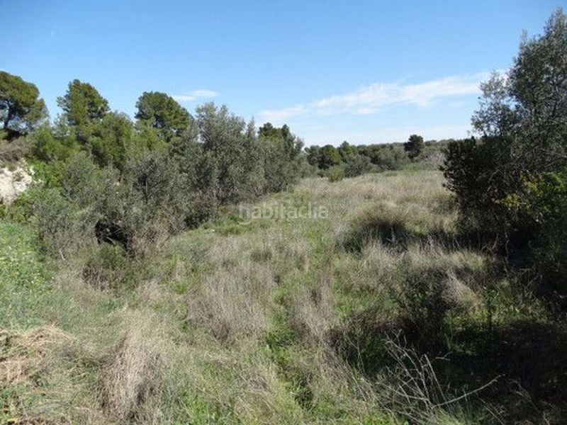 Foto f84cc1f0-1de2-4841-ba53-d6c326f3db89. Finca rústica a Moratalla