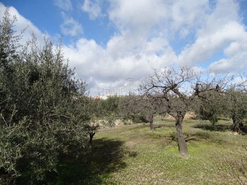 Foto 827adf8a-64ef-48f4-8b3d-c42eefce001c. Terreny residencial a Moratalla