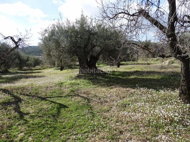 Foto dee79f3e-13aa-411f-99e8-5c4f8a31b778. Terreny residencial a Moratalla