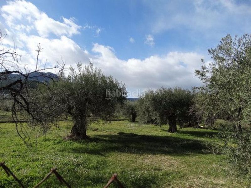 Foto f84ba719-144a-405e-8ceb-a349535a9c9d. Terreny residencial a Moratalla