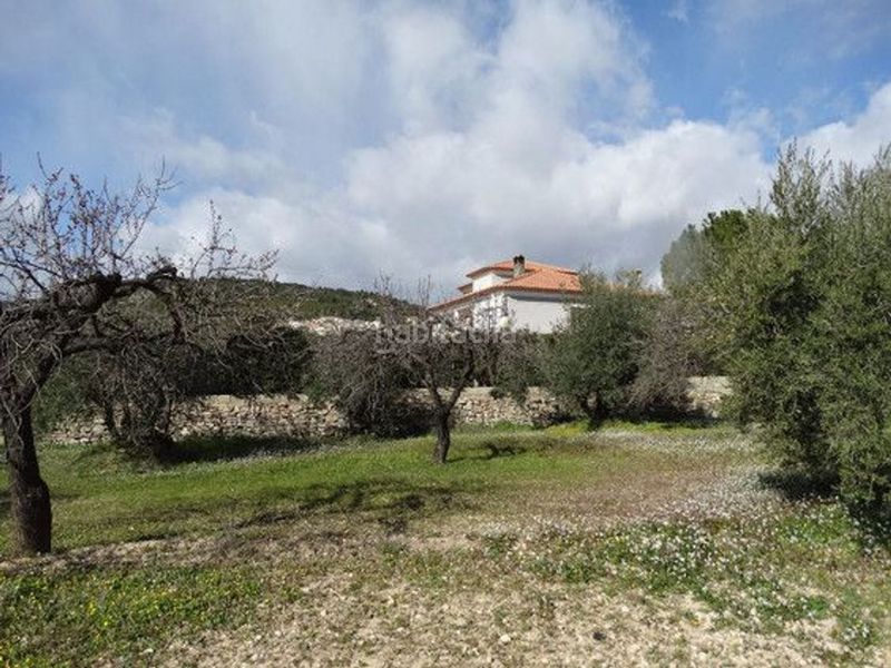 Foto ff754ec0-6c30-4263-8066-6c1582acbc88. Terreny residencial a Moratalla
