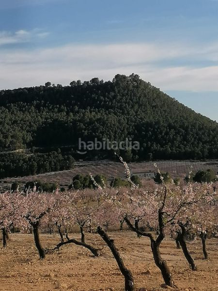 Foto 628d9dc9-369f-43fa-b679-eb1c690d6637. Finca rústica a Moratalla
