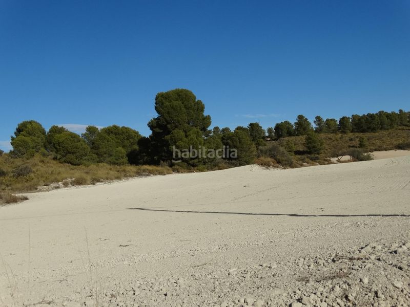 Foto 0c43980f-ccf7-4031-8302-239fc51f6386. Terreny residencial a Moratalla