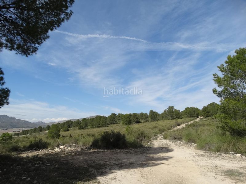 Foto 0cb77f75-3739-4c7a-ad00-ccb9f30b552b. Terreny residencial a Moratalla