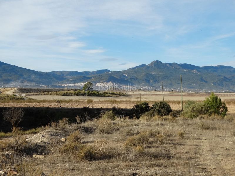 Foto 0f3f36de-27b6-48d5-b9ad-fcf96d21488a. Terreny residencial a Moratalla