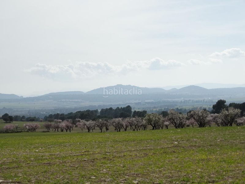 Foto 0f9eb042-52d7-4f7b-b27a-fde34dbb1b58. Terreny residencial a Moratalla