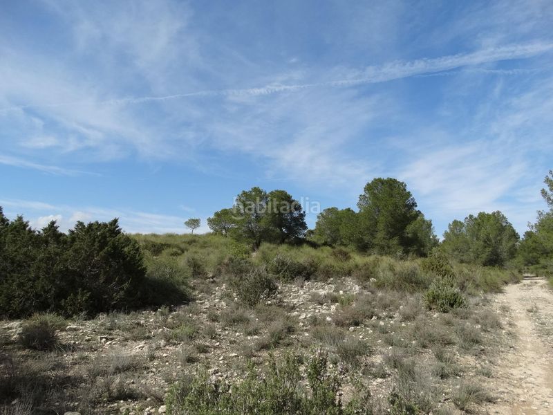 Foto 1bfe5c07-1f8f-483a-a8fb-c4670e557a65. Terreny residencial a Moratalla