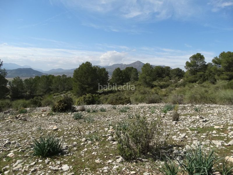 Foto 45f236e1-2224-4316-8eca-dccc3eb28206. Terreny residencial a Moratalla