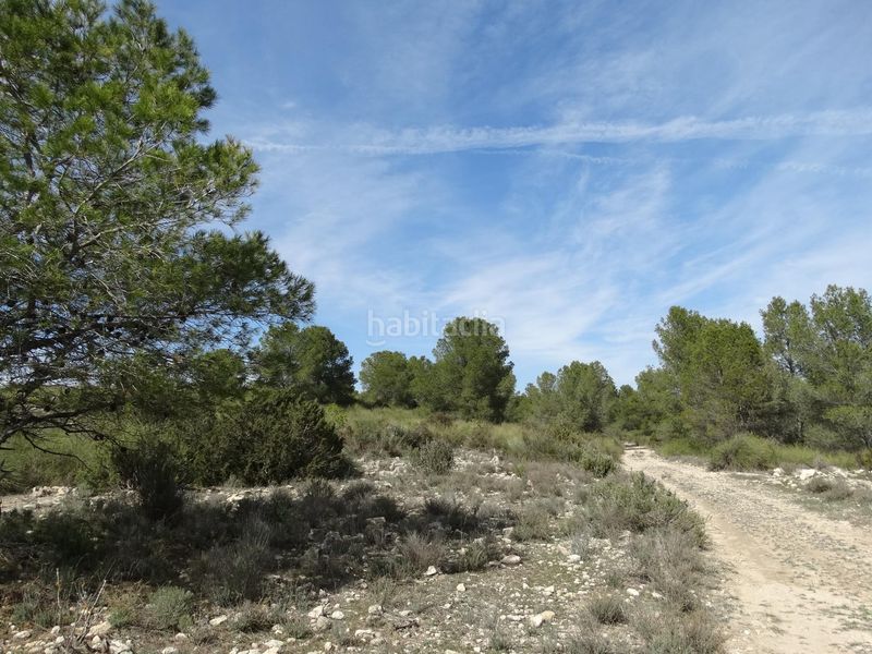 Foto 4afe1600-9791-4ee0-afea-0784c920060f. Terreny residencial a Moratalla