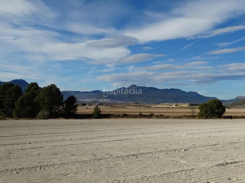 Foto 505161f0-76b8-4194-90bf-d6baa97a4055. Terreny residencial a Moratalla