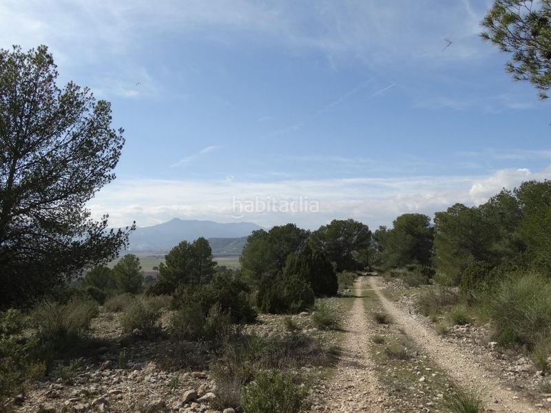 Foto 5bb2058c-ccdb-4ae1-9730-632a9d865e10. Terreny residencial a Moratalla