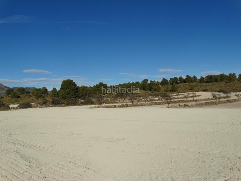 Foto 6e2ad93c-f18b-4231-9e61-1ec4ac8936bb. Terreny residencial a Moratalla