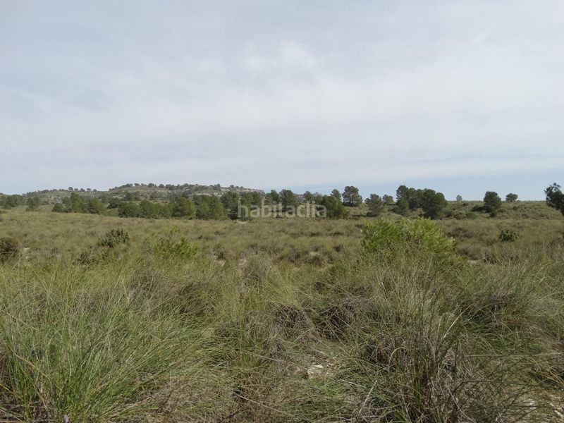 Foto 7745f864-8d4f-45c2-8a7f-e0d67994d9d3. Terreny residencial a Moratalla