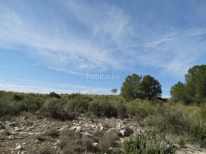 Foto 780f75d9-de99-4c52-a759-e2d54fc4316a. Terreny residencial a Moratalla