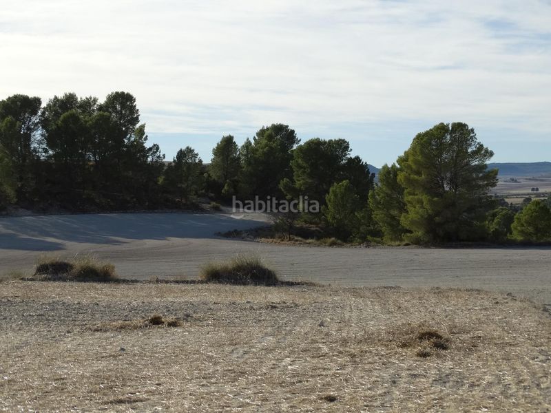 Foto 7cc5e91c-1885-4d5e-8bdb-458b4a2ee626. Terreny residencial a Moratalla